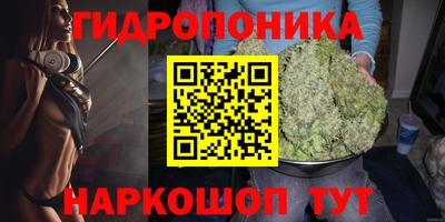 ALPHA PVP Комсомольск-на-Амуре