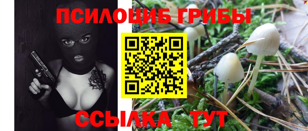 Псилоцибиновые грибы прущие грибы  Вход с VPN  Анжеро-Судженск 