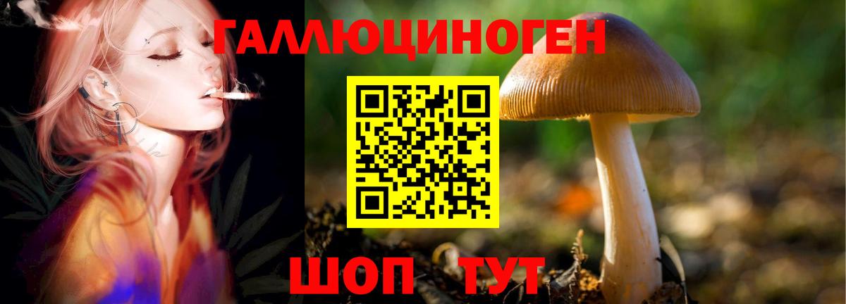 Псилоцибиновые грибы ЛСД Анжеро-Судженск